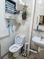 Blk 182 Bukit Batok West Avenue 8 (Bukit Batok), HDB 3 Rooms #639482621